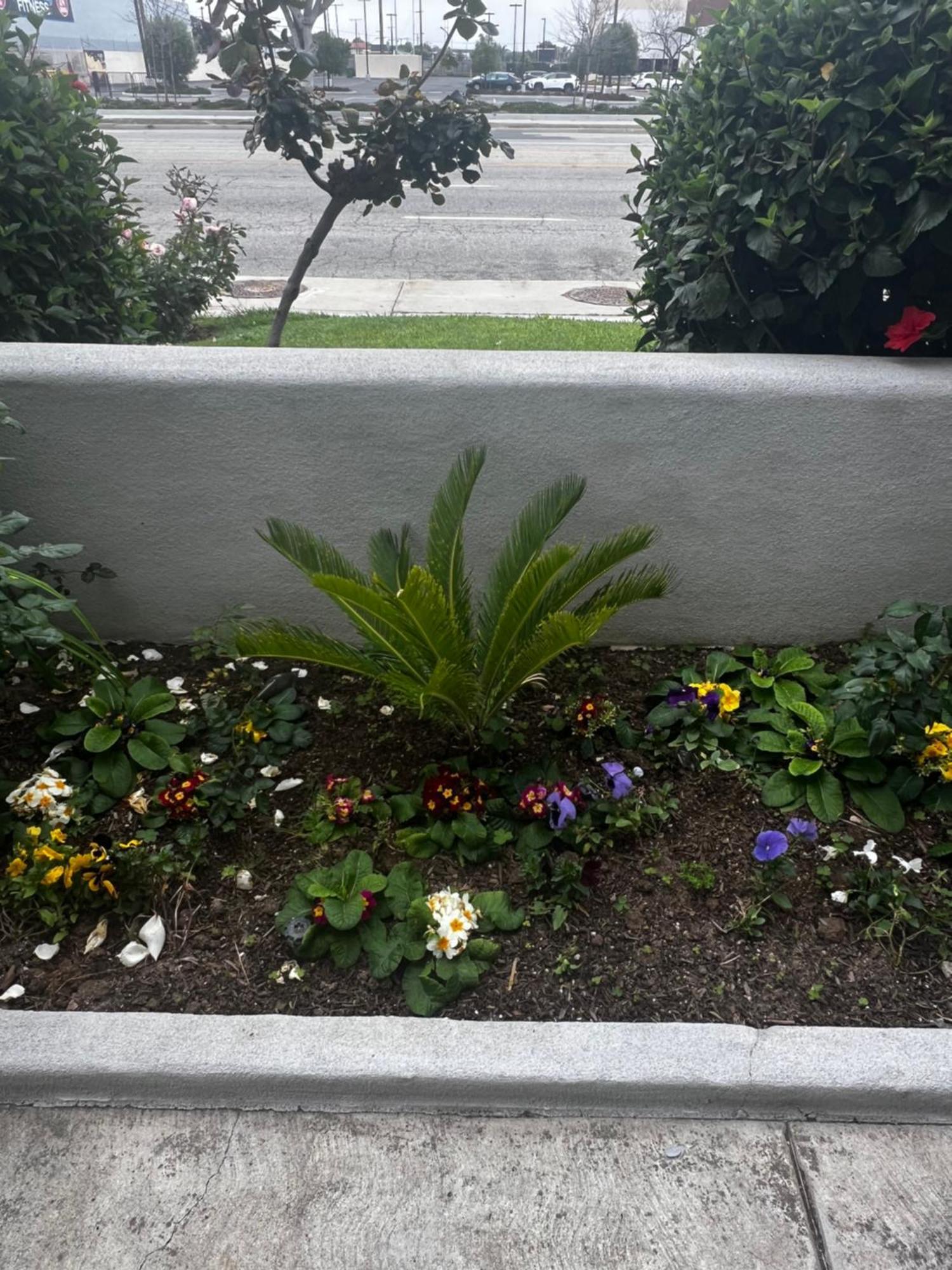 El Segundo Inn Hawthorne Exterior foto